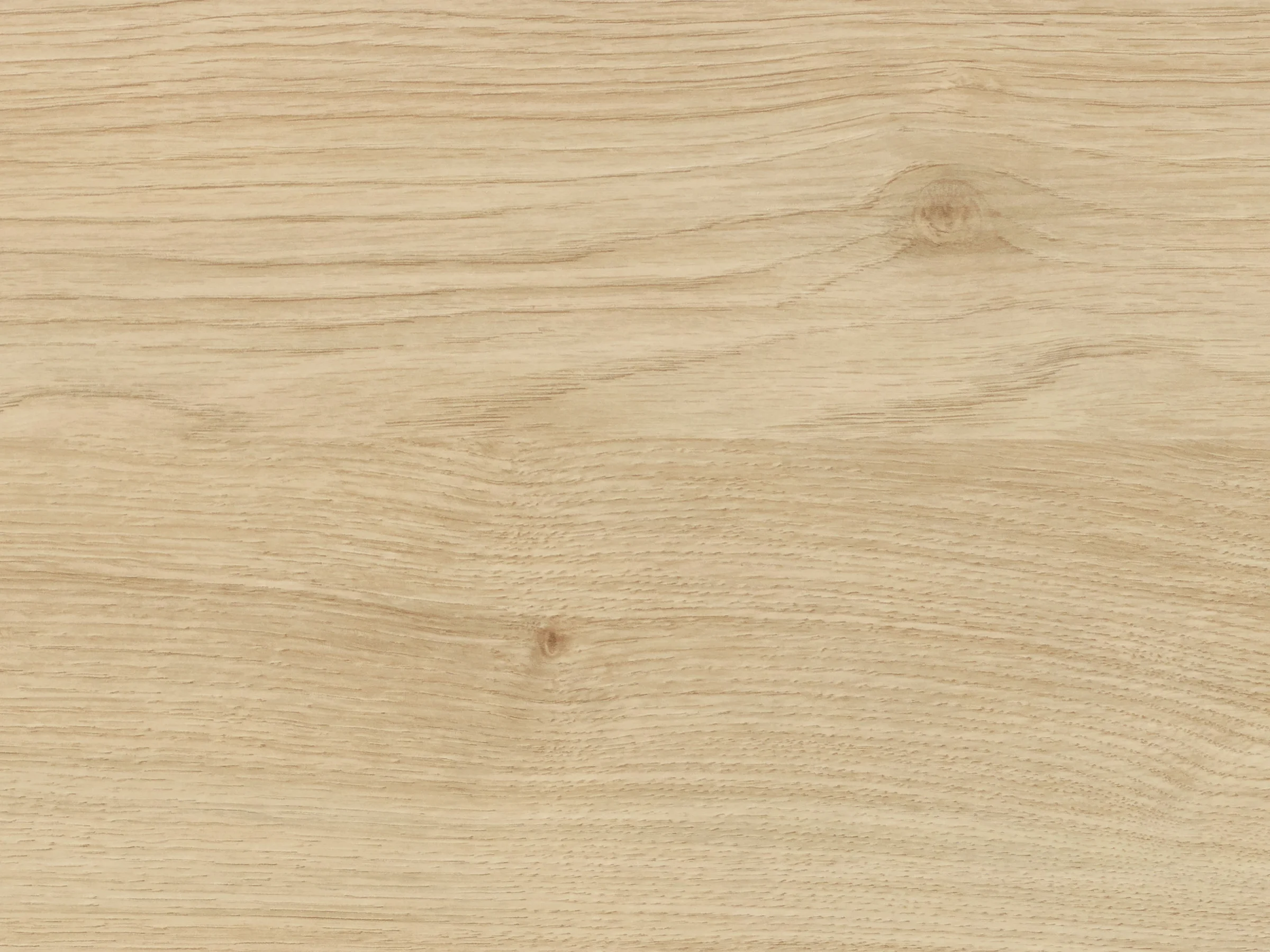 product image E27_Asteiche natur.jpg